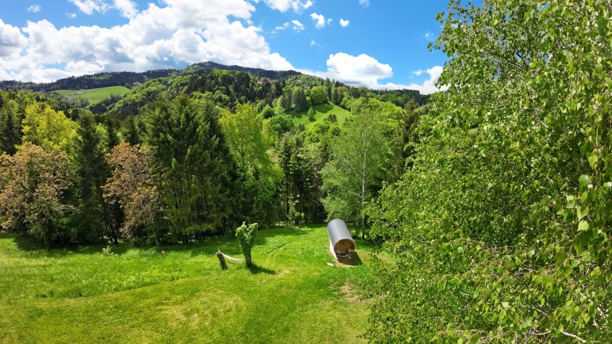 Auf 7 Ha Alleinlage - Pool,whirlpool, Sauna - Refugium Suedsteiermark Villa